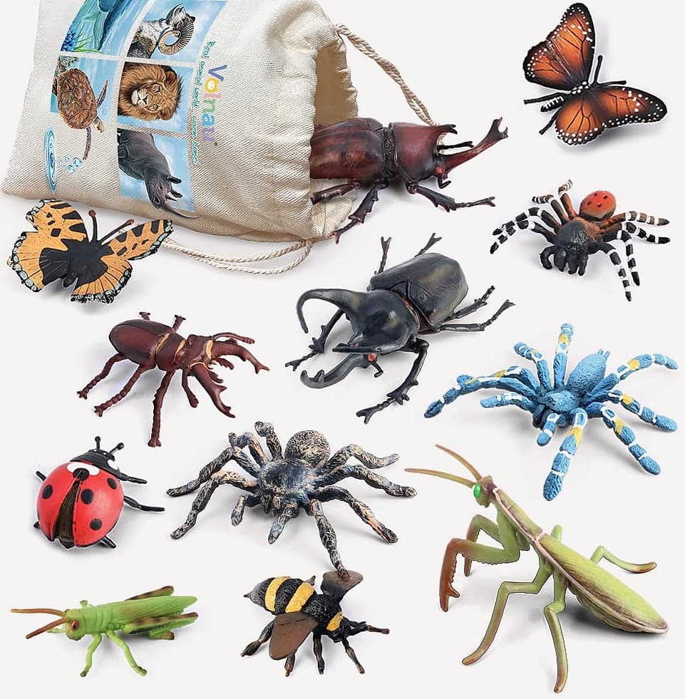 Volnau 12-Piece Insect Figure Set for Kids Educational Toys