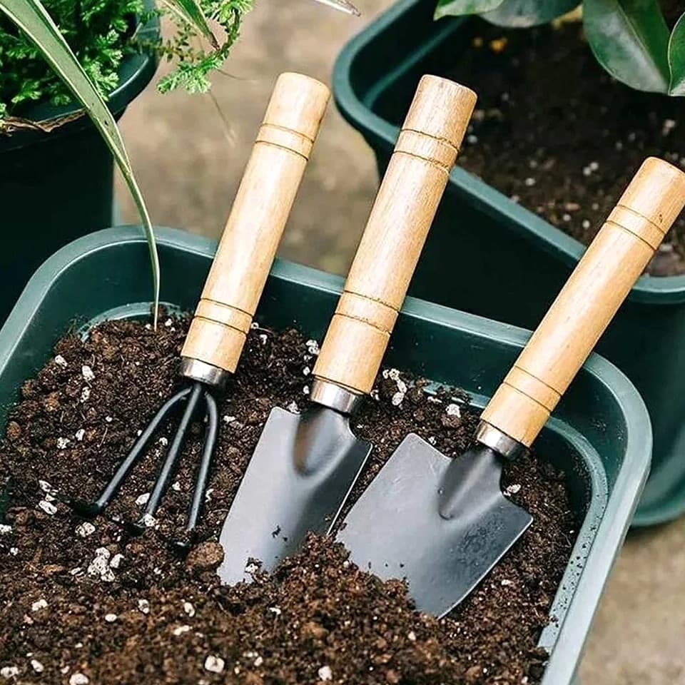 3 Pcs Mini Garden Tool Set Indoor Plant Tools Shovel Rake Spade for Potting