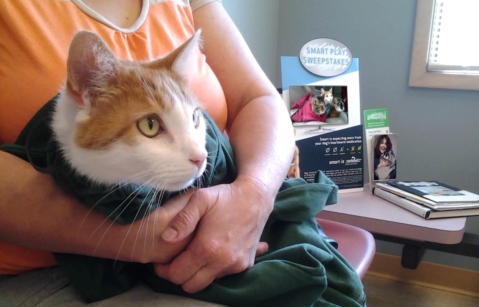 Cat-in-Bag Comfort Cozy Carrier