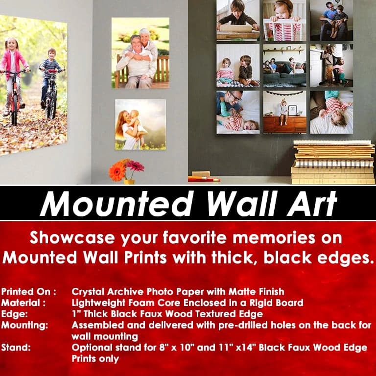 20"x30" Personalized Mounted Wall Art Prints with Your Choice of Image Vertical