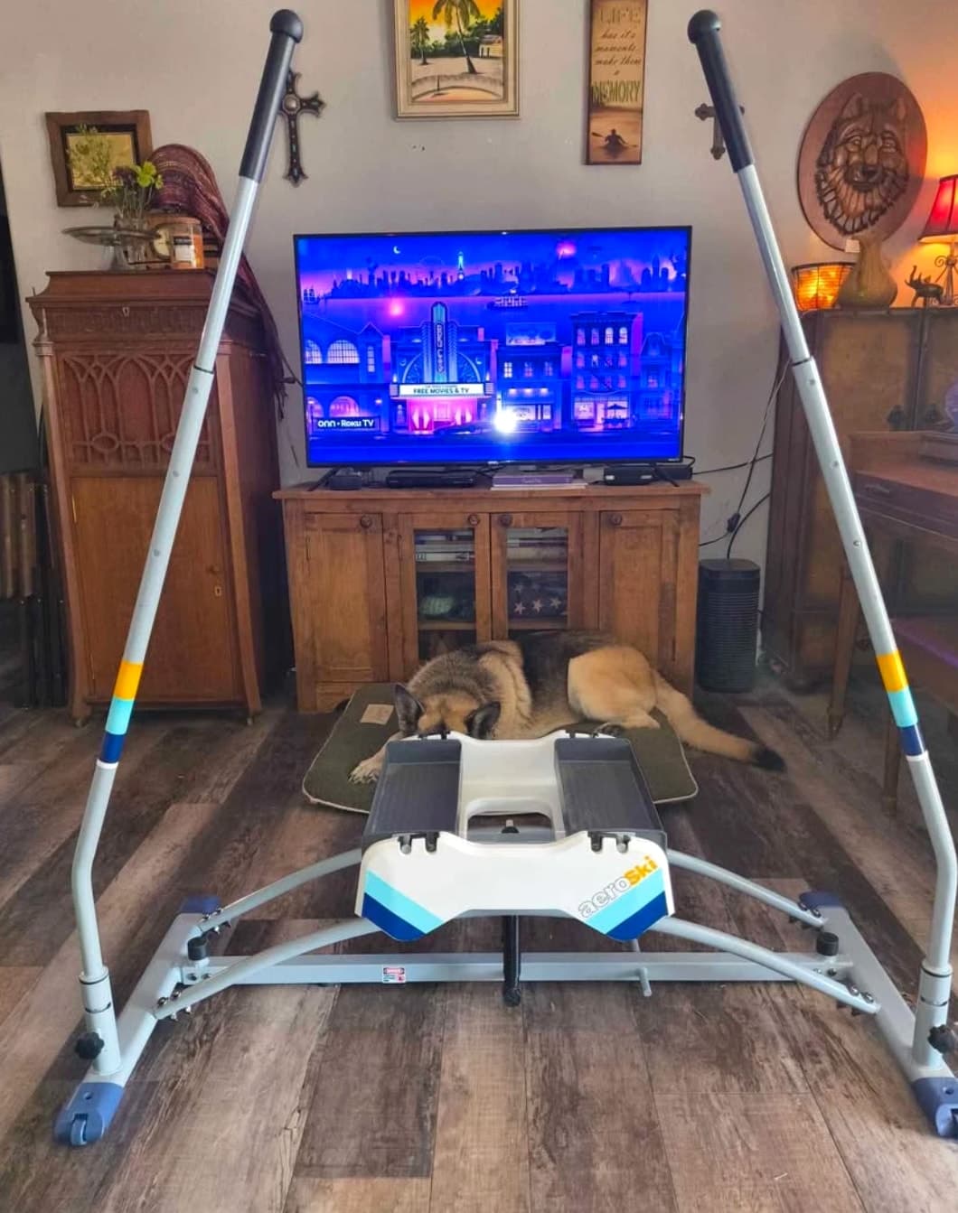 Aeroski Power Pro Home Fitness w/ Ski Poles, VR Goggles, and Fitness App
